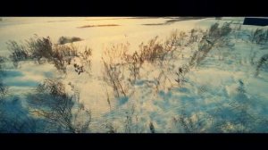 Красоты Омской области