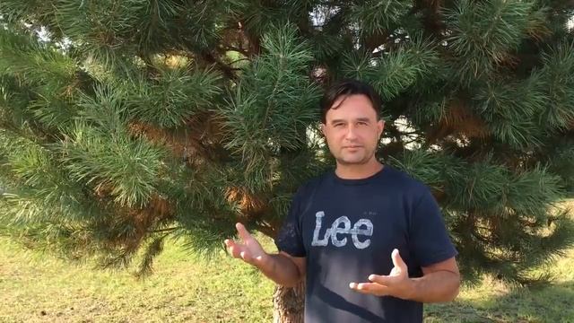 Повышение вибраций от Lee, день 11 смотреть онлайн