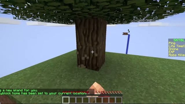 Java Legacy - Hub/Skyblock Trailer смотреть онлайн