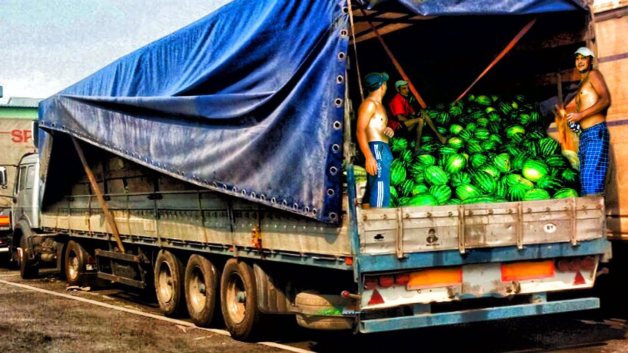 ХЕРСОНСКИЕ арбузы ФУРАМИ ВЕЗУТ в КРЫМ по НИЗКОЙ ЦЕНЕ. Ялта КОНЕЦ СЕЗОНА. Орджоникидзе СЕГОДНЯ. смотреть онлайн