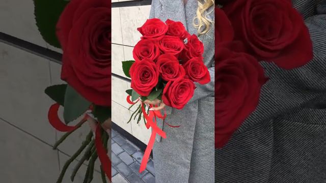 Букет из 9 красных роз Премиум Эквадор смотреть онлайн