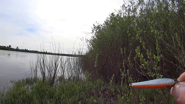ZipBaits Rigge 56 S-Line. В поисках ЖЕРЕХА ! смотреть онлайн