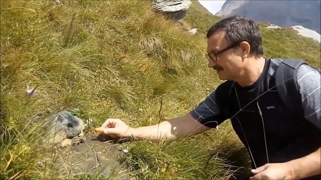 Путешествие по Австрии. Альпийская сказка /Travel to Austria смотреть онлайн