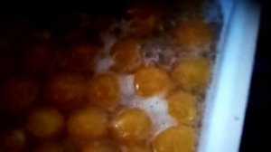 Срываем алычу и готовим варенье с косточкой!!!