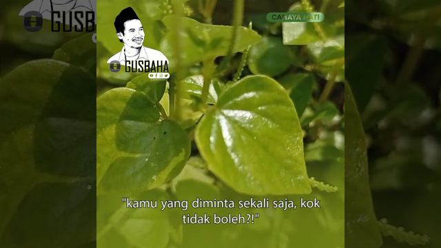 Gus Baha : Ngajilah dan Jangan Takutlah Miskin смотреть онлайн