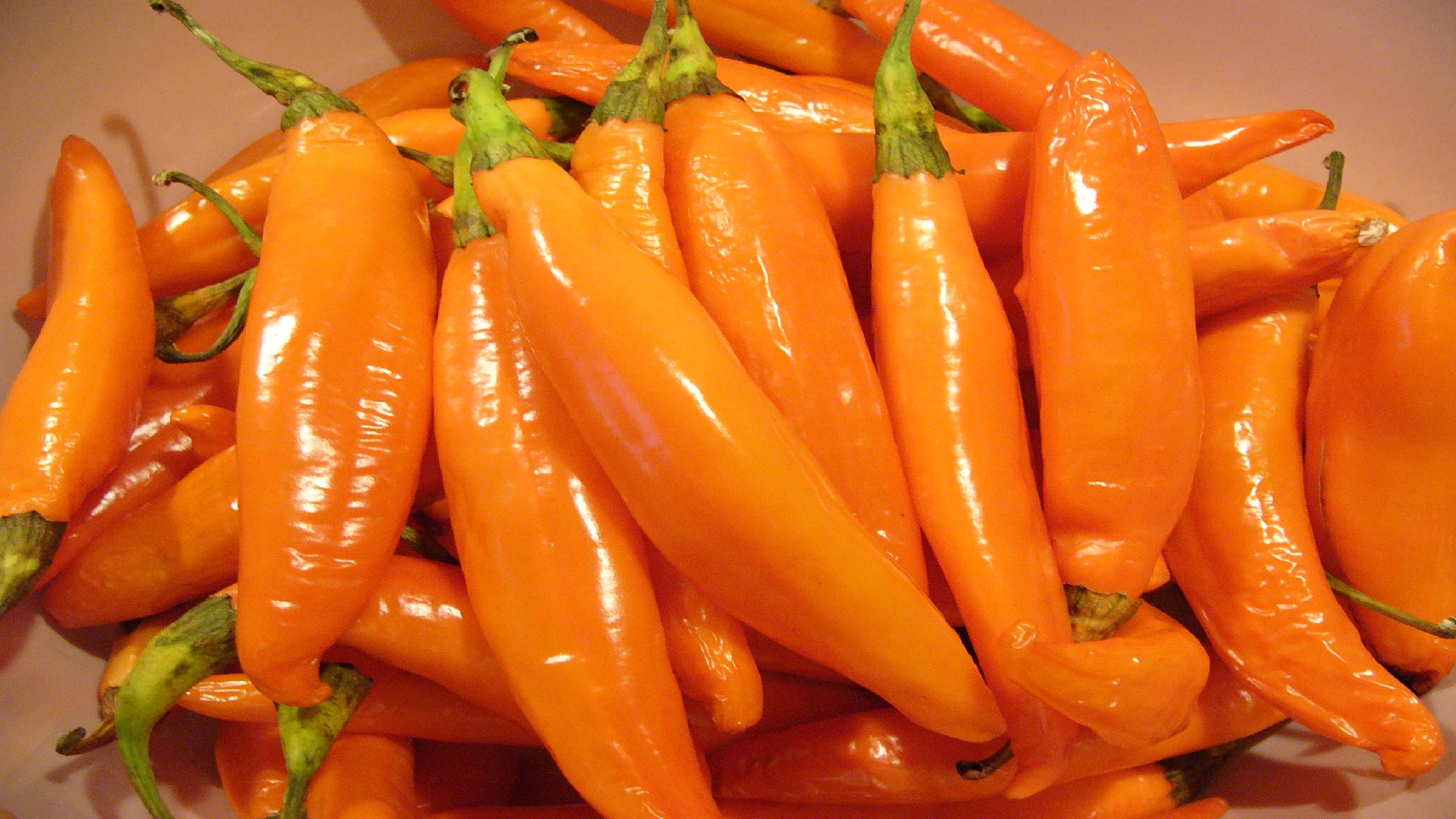 Перец халапеньо. Обзор сортов. Заготовка на зиму. смотреть онлайн