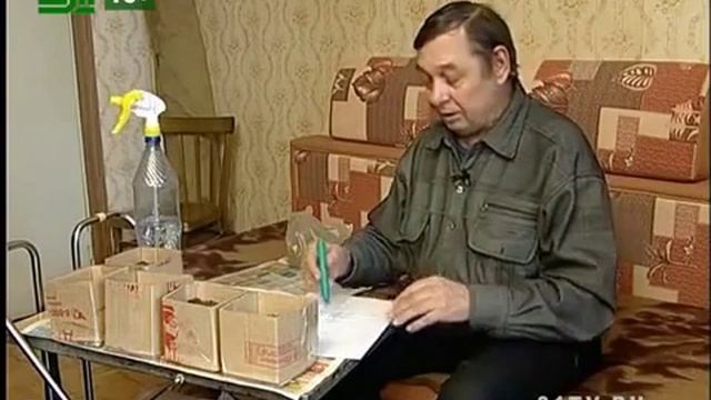 Делаем коробочки под рассаду смотреть онлайн