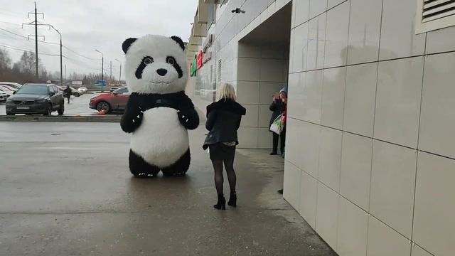 Коллеги поздравили от души ???