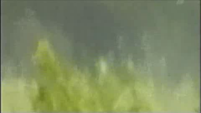 08 - Засада у Волчьей ямы смотреть онлайн