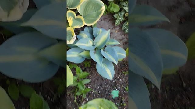 29 мая 2023 г. смотреть онлайн