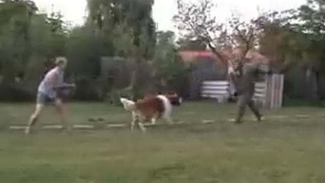 Toska zari09 смотреть онлайн