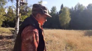 Охота на медведя на овсах