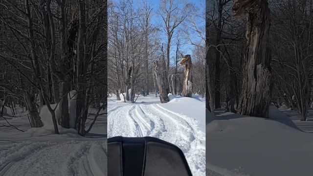 Катнули с восточному хребту смотреть онлайн