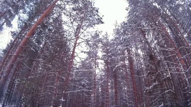 Болен Рыбалкой №196 - Новогодний!!! смотреть онлайн