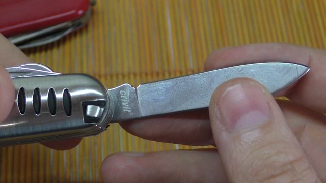 ЧЕМ ОТЛИЧАЮТСЯ КИТАЙСКИЙ, НЕМЕЦКИЙ И ШВЕЙЦАРСКИЙ МУЛЬТИТУЛЫ? смотреть онлайн