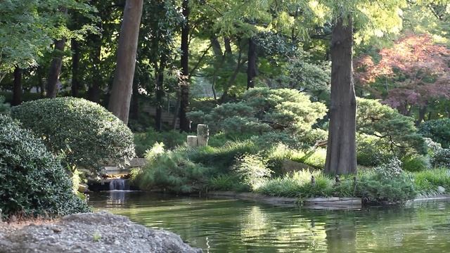 Native American Flutes - Forest Sounds - New Age смотреть онлайн