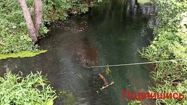 Поисковый магнит Большое колесо Вторсырьё смотреть онлайн