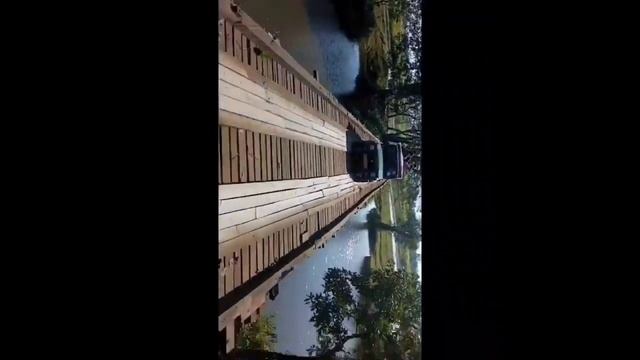 kaziranga Vlog. Kaziranga national park world heritage site #kaziranga #kazirangavlog смотреть онлайн