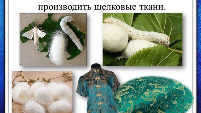 Возникновение государства в Китае смотреть онлайн