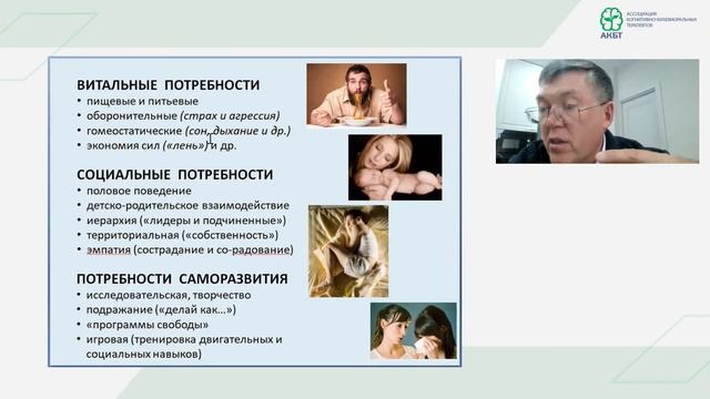 Вячеслав Дубынин: «Популярная» нейробиология. Развенчание мифов