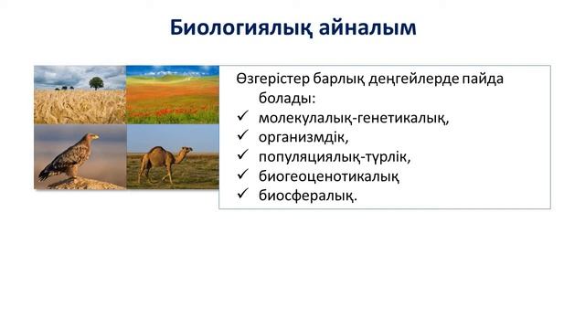 1 Тоқсан География 11 сынып ҚГБ 13 сабақ смотреть онлайн