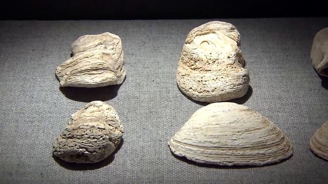 Пять ключей - Часть 1-3 - Сборник - Документальный фильм смотреть онлайн