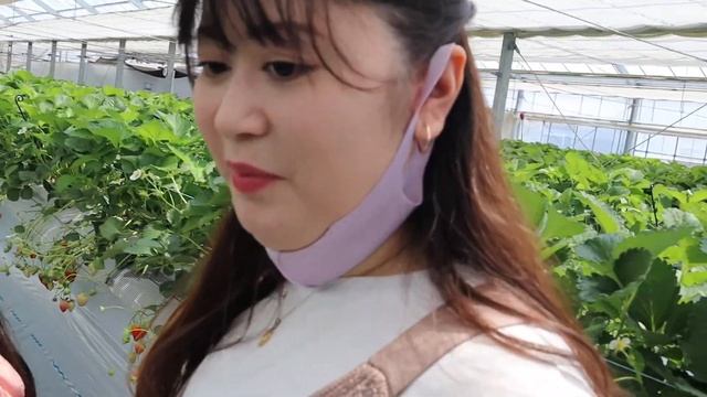 Strawberry Farm 2021 (Koshigaya) смотреть онлайн