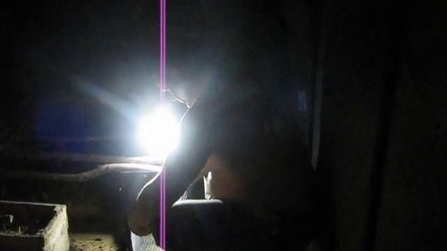 Ставим ловушку на ласку смотреть онлайн