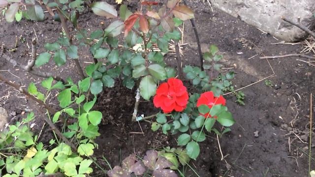 28 октября 2023 г. смотреть онлайн