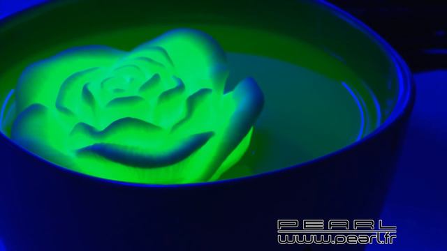 NC2048 - Roses flottantes à LED смотреть онлайн