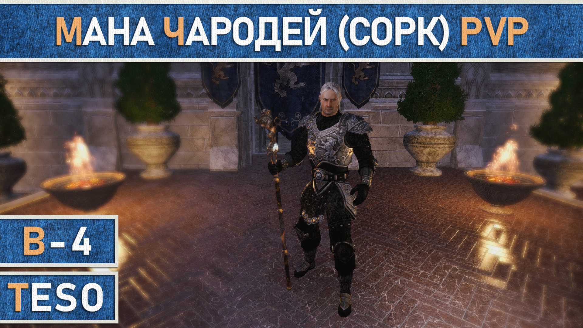 TESO: Мана чародей (Сорк) для PvP. Актуален для Черного леса. смотреть онлайн