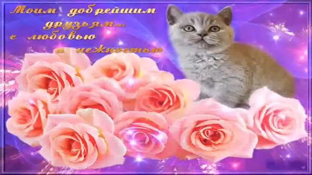 ДРУЗЬЯМ МОИМ С ЛЮБОВЬЮ !!! красивый ролик... смотреть онлайн