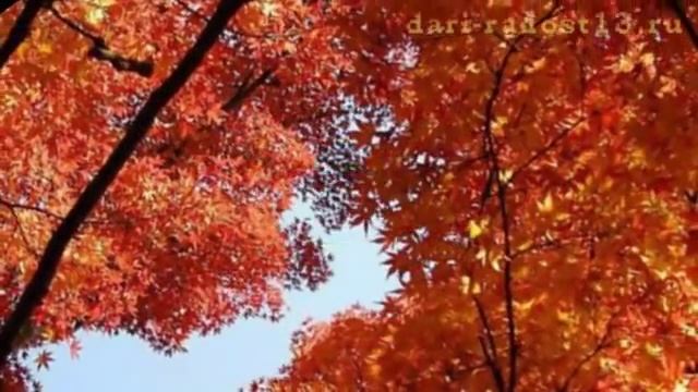 Осень смотреть онлайн