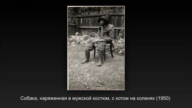 Удивительные ретро фотографий о жизни в прошлой эпохе смотреть онлайн