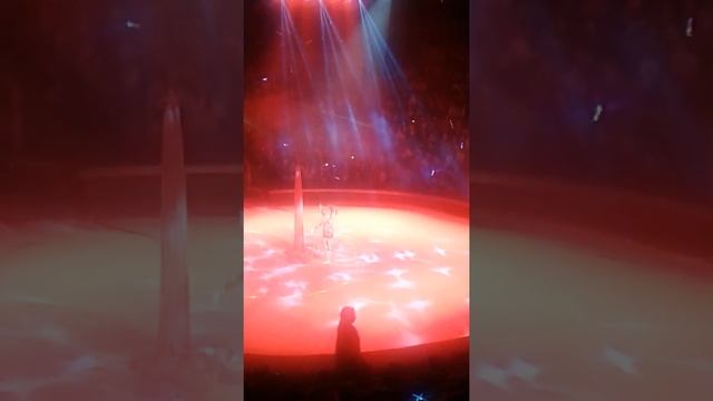 Цирк в баку смотреть онлайн