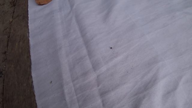 Домовладелец Pro