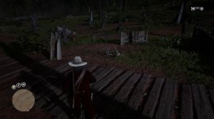 Где найти Барсука с Превосходной шкуркой/RDR2/