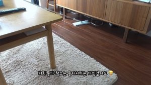 Japan VLOG - Ordinary day of Korean pregnant woman