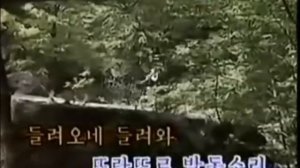 Корейская народная песня - 새봄을 노래하네/Весна пришла (Вер.Сев.Корея)