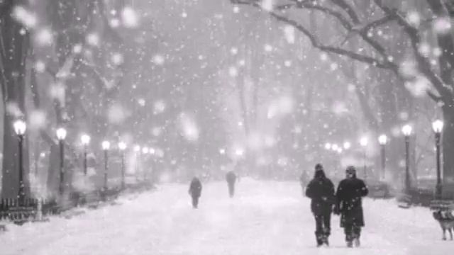 Как под музыку падал снег в городском саду ...