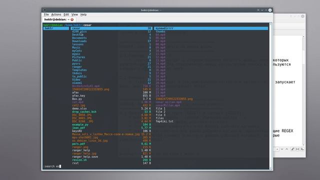 ranger. Навигация и запуск по имени файла смотреть онлайн