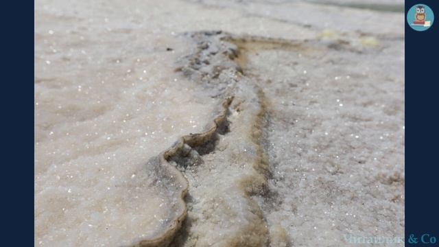 Чому в морі вода солона / Why is the water salty in the sea - Вадим Скомаровський смотреть онлайн