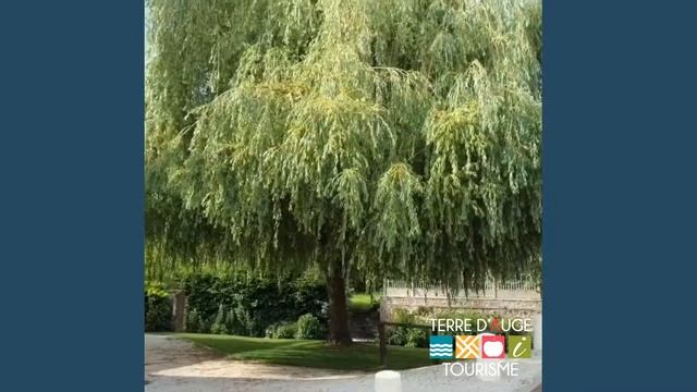 Pont-l'Evêque Terre d'Auge vue du ciel смотреть онлайн