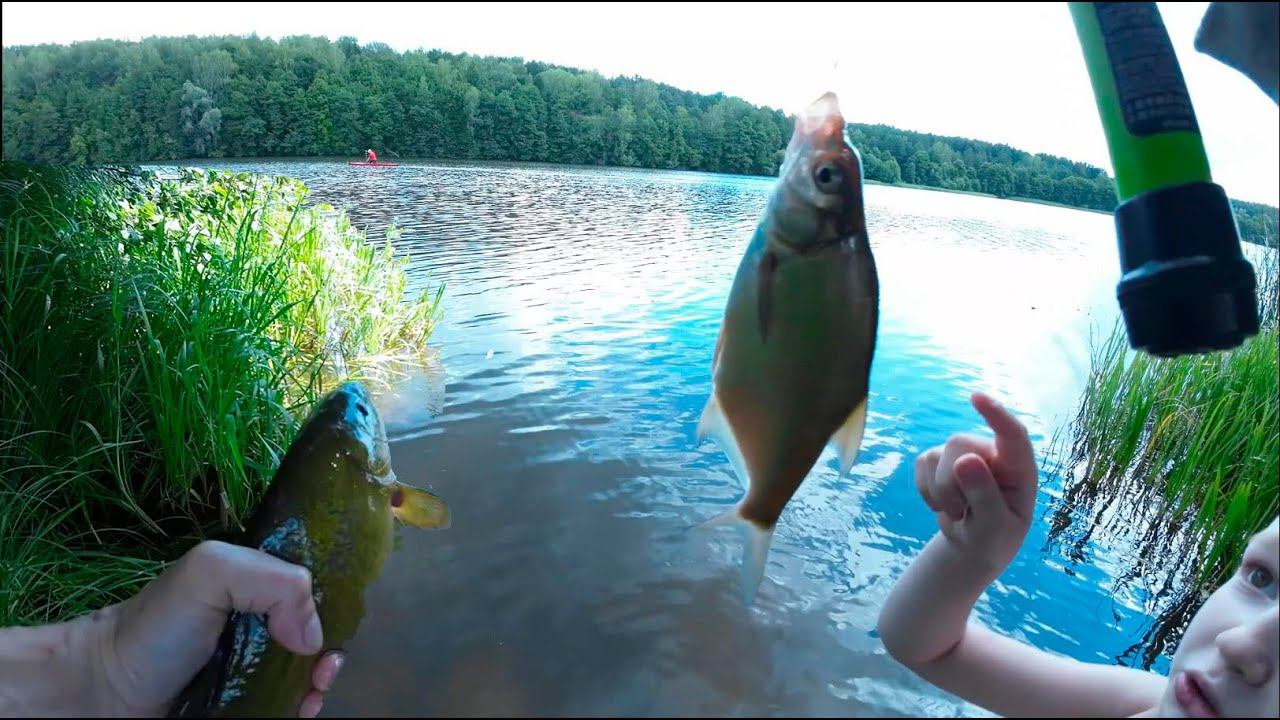 ЧАСТЬ 2. ЗМЕИ АТАКУЮТ!!! СТАВИМ САМОЛОВКУ. НАЛОВИЛИ РЫБУ (ЛИНЬ, ПОДЛЕЩИК) ГОТОВИМ УХУ. КУПАЕМСЯ. смотреть онлайн