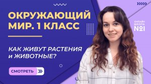 Видеоурок 13. Как живут растения и животные. Окружающий мир 1 класс