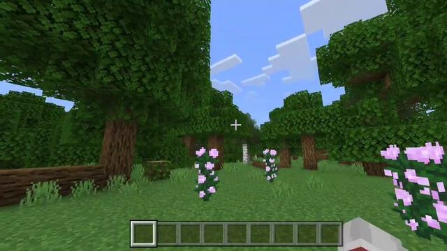 Набор в команду Мелок Версия Майнкрафт пе -Майнкрафт джава смотреть онлайн