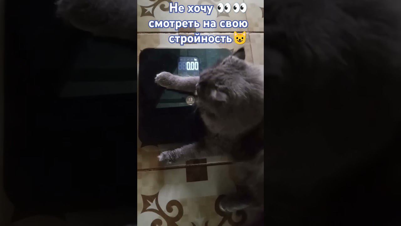взвешивание смотреть онлайн