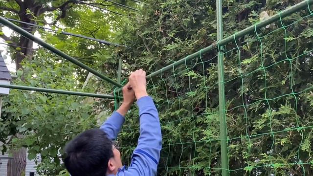 给豆角黄瓜安装爬藤网！种植杆和爬藤网