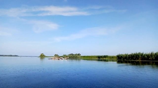 Сплав по реке Днепр. Природа островов смотреть онлайн