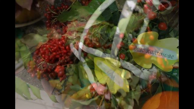 Свято осінніх квітів смотреть онлайн